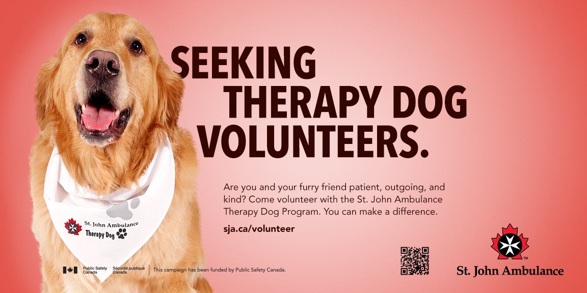 Therapy Dog | Become a Volunteer | St. John Ambulance